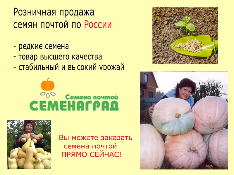 Купить семена почтой в Москве